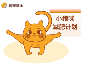 A Detailed Cat Weight-Loss Plan