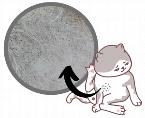 Black Dots on Your Cat’s Skin: Folliculitis, or ‘Black Chin’ and ‘Stud Tail’