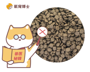 Cat Food Ingredients to Avoid, No Matter How Cheap
