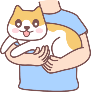 Does Your Cat Know You’re the One Caring for It?