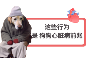 Early Warning Signs of Heart Disease in Dogs