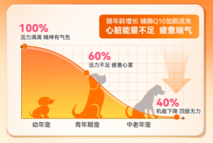 Pet CoQ10 Buying Guide: Look Past the Marketing