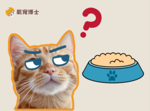 How Often Should You Rotate Your Cat’s Food?