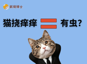 Does a Scratching Cat Always Have Parasites?