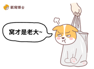 Signs Your Dog Thinks It Outranks You