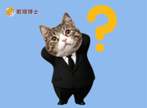 Should Cats Eat One Food or Rotate?