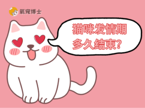 How Long Does a Cat Stay in Heat? A Complete Guide
