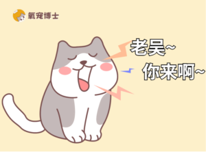 Is a Cat in Heat in Pain When It Won’t Stop Meowing? How to Soothe It
