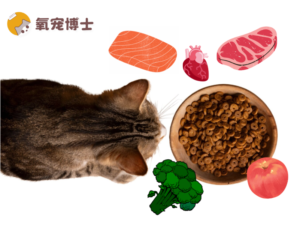 What to Feed Your Cat for a Healthy Heart