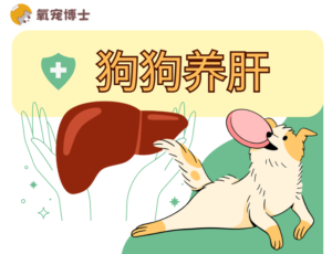 Foods That Support Your Dog’s Liver