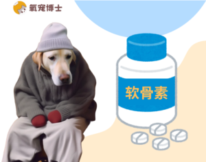 What Is Chondroitin for Dogs, and Who Needs It?