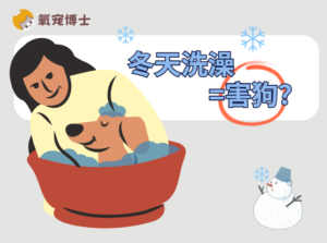 Can You Bathe Your Dog in Winter? YesโWith These 3 Points