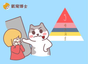 5 Levels of How Much Your Cat Loves You