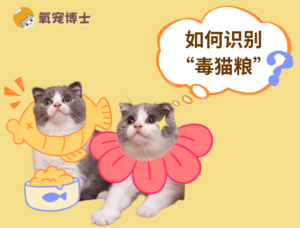 How to Spot Low-Quality Cat Food at a Glance