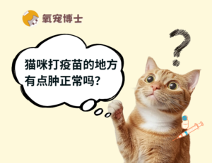 My Cat’s Vaccine Spot Is Swollen β Should I Worry?