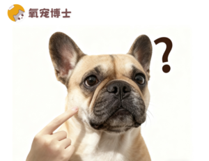 Top 5 Dog Breeds With the Worst Body Odor
