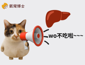 Feeding Your Cat Chicken Liver? Watch Out for Vitamin A Toxicity