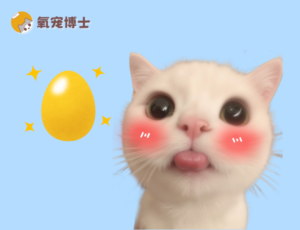 Egg Yolks for Cats: Not All Good News