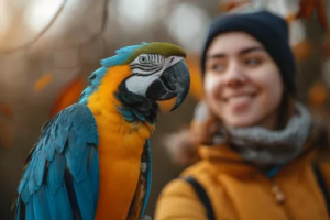 What to Do When Your Parrot Shows Breeding Behavior