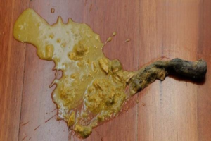 What a Cat Throwing Up a Hairball Looks Like