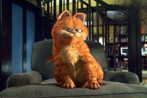 What Are the Symptoms of a Cold in Persian Cats?